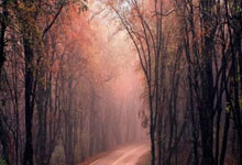 亚星体育：杭州339块户外大屏轮播国足集锦及海报，全城掀起“中国红”.