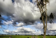 神奇不再！糟糕防线半场再丢3球 泰山无力再演追四奇迹.