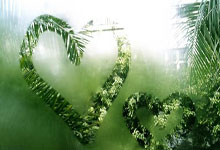 亚星体育：火箭狂轰148分&得分赛季新高，同时完成对太阳的横扫.