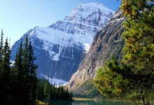 亚星体育：2025年上海高校滑雪邀请赛在沪举行.